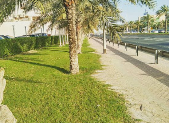 bahrain/hawar-islands/attraction/zuhoor-al-muharraq-sweets