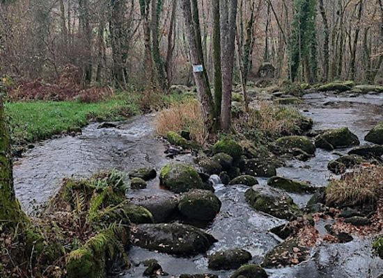 france/limousin/attraction/cascades-de-la-rebeyrolle