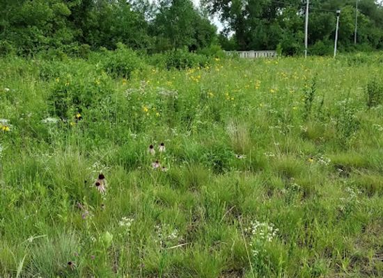 wisconsin/southeast-wisconsin/attraction/gottfried-prairie-arboretum