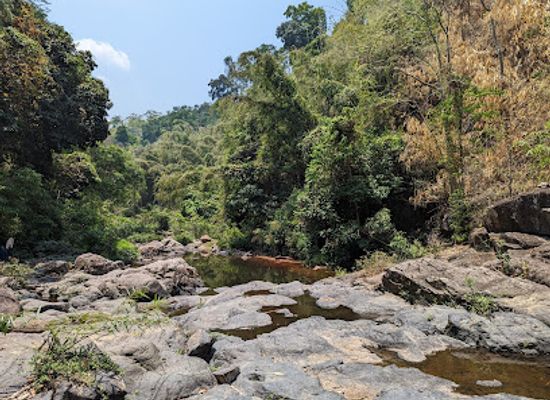 cambodia/ratanakiri/attraction/green-jungle-trekking-tours-cambodia