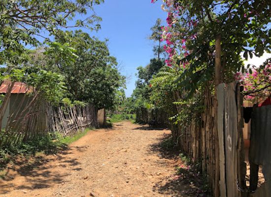 haiti/nord-ouest/attraction/gran-lakou