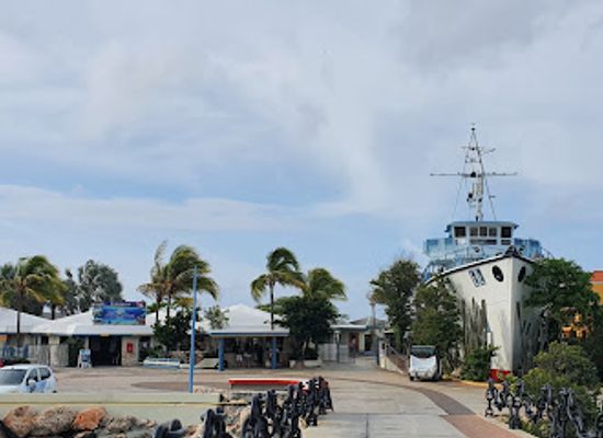 curacao/groot-kwartier/attraction/dolphin-academy-curacao