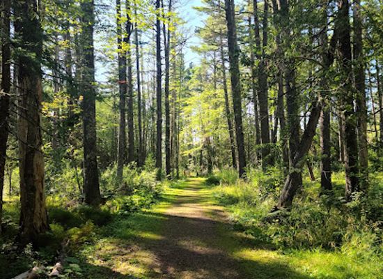 wisconsin/madeline-island/attraction/capser-trail