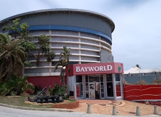 south-africa/eastern-cape/attraction/bayworld