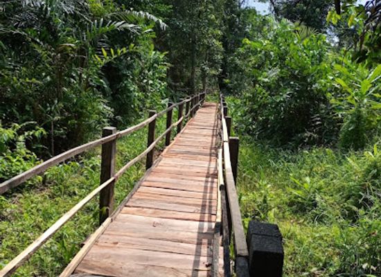 nigeria/niger-delta/attraction/finima-nature-park
