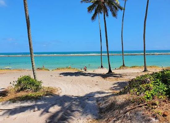 brazil/agreste/attraction/praia-de-gamboa