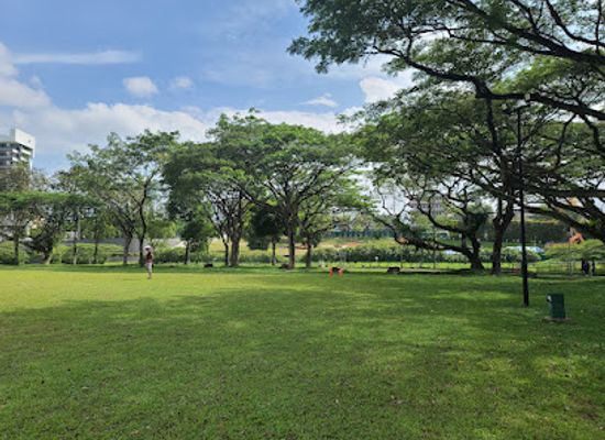 singapore/macritchie-reservoir/attraction/activity-lawn