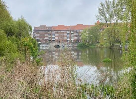 germany/potsdam/attraction/weissensee