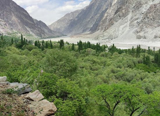pakistan/gilgit-baltistan/attraction/amir-abad-chorbat-khaplu-ganche-india-j-k
