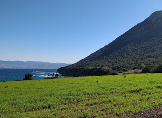 cyprus/akamas-peninsula-national-park/attraction/ponti-bapa