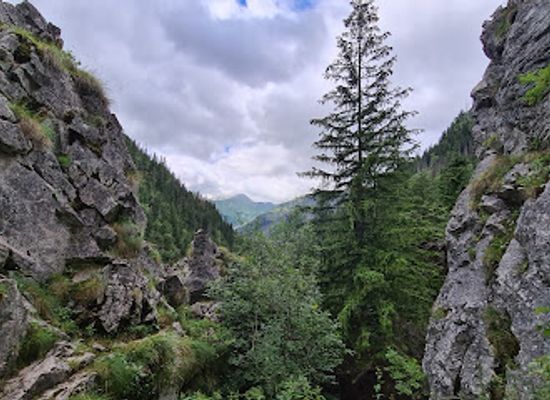 poland/tatra-mountains/attraction/posrednia-koscieliska-brama