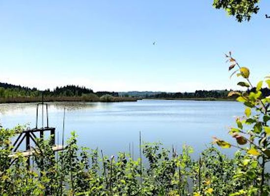 germany/swabia/attraction/maisinger-see