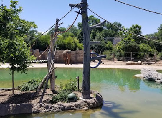 colorado/denver/cherry-creek/attraction/denver-zoo