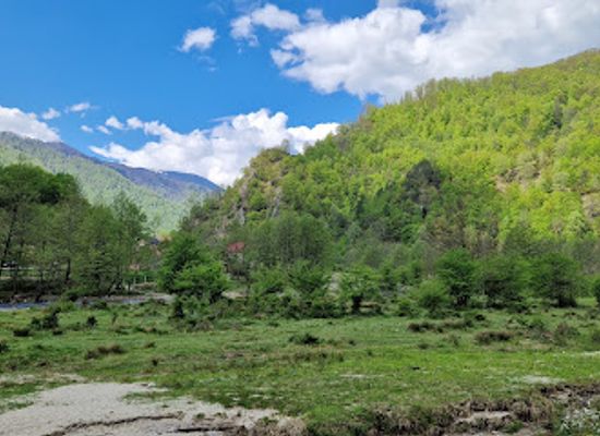 romania/valcea/attraction/pista-de-biciclete-brezoi