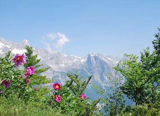 albania/bajram-curri/attraction/theth-national-park