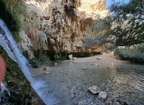 jordan/eastern-highlands/attraction/ein-gedi