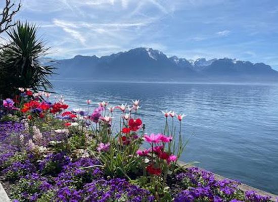 switzerland/montreux/attraction/promenade-sur-les-quais-de-montreux