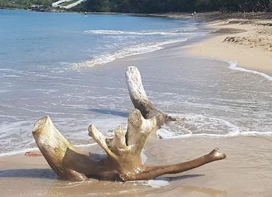 saint-lucia/malgretoute/attraction/choc-bay