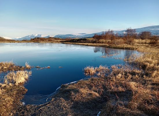 iceland/akureyri/attraction/krossanesborgir