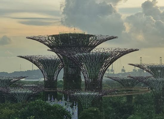 singapore/marina-bay/attraction/friends-of-the-garden-centre