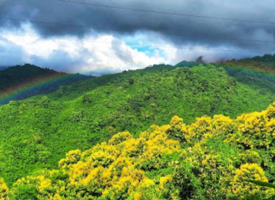 india/aizawl/attraction/aizawl-zoological-park