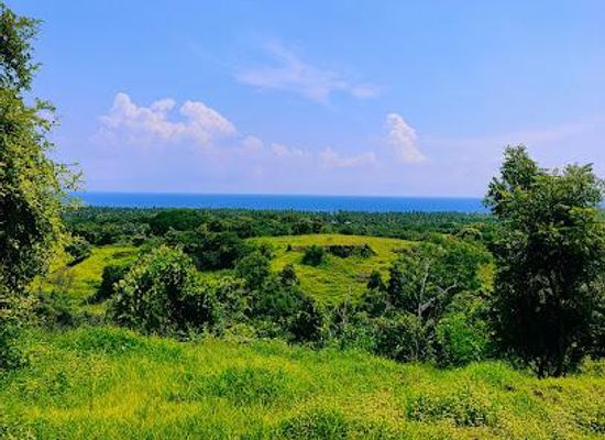 indonesia/bali/attraction/bukit-teletubies-kubutambahan