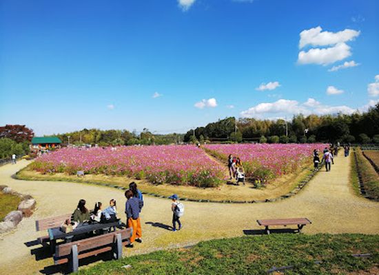 japan/izumi/attraction/izumi-recycle-environment-park