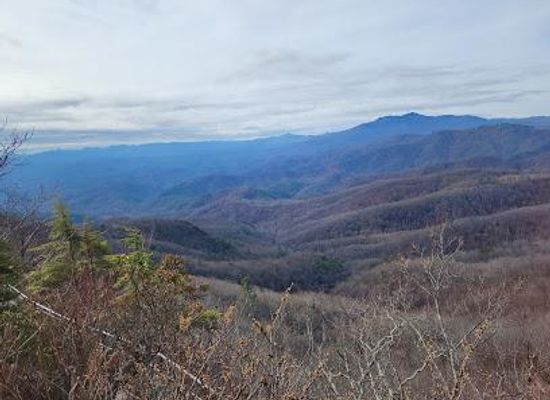 north-carolina/boone/attraction/the-blowing-rock