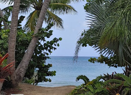 puerto-rico/rincon/attraction/sea-colony-beach