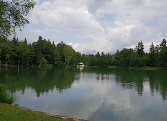 slovenia/upper-carniola/attraction/park-brdo
