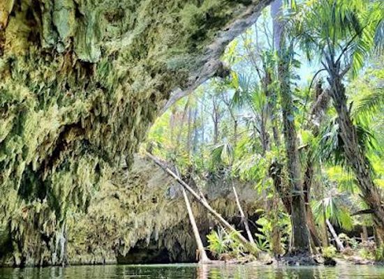 mexico/playa-del-carmen/attraction/jade-cavern-cenote-excursion