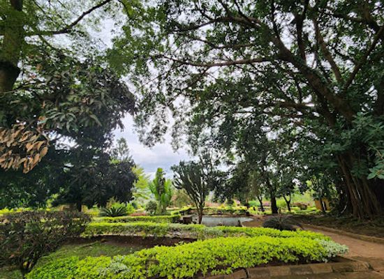 rwanda/musanze-caves/attraction/rwanda-art-museum
