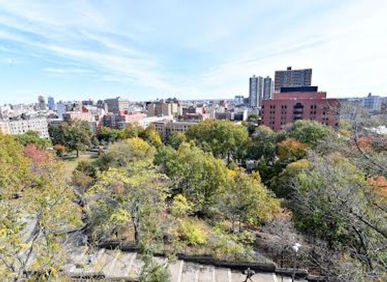 new-jersey/gateway-region/attraction/marcus-garvey-park