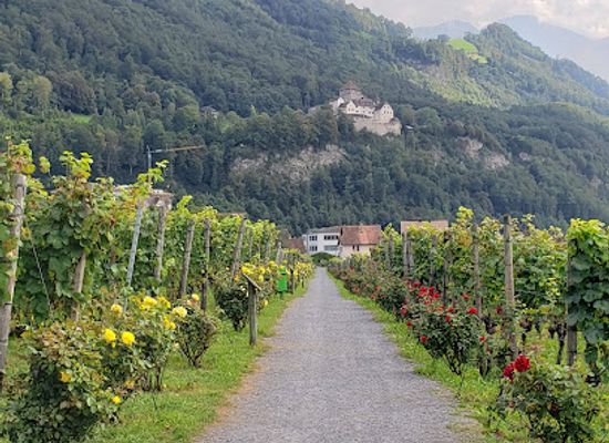 liechtenstein/steg/attraction/cellars-of-the-prince-of-liechtenstein