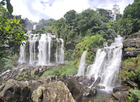 laos/bolaven-plateau/attraction/danyai-bolaven-plateau