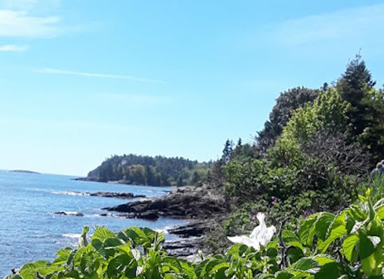 maine/washington-county/attraction/bar-harbor-shore-path