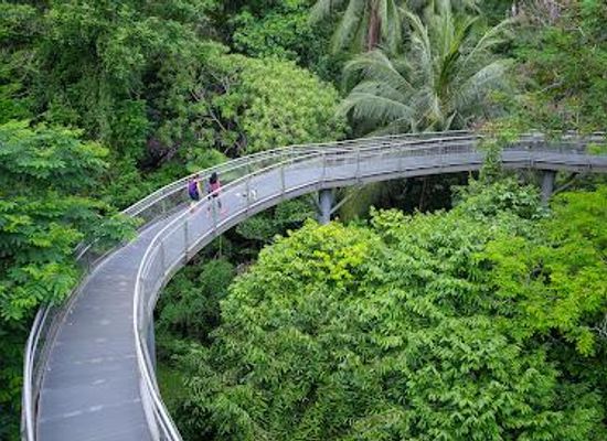 singapore/orchard-road/attraction/southern-ridges