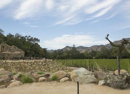 california/wine-country/attraction/stag-s-leap-wine-cellars