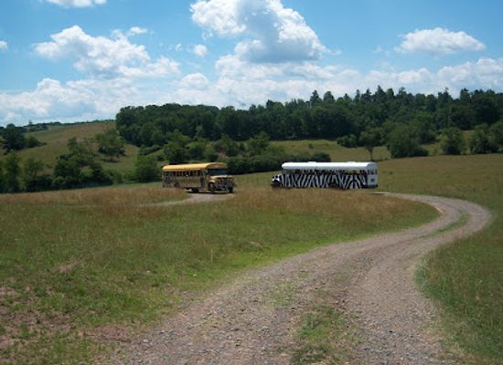 virginia/grayson-highlands-state-park/attraction/fort-chiswell-animal-park