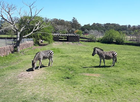uruguay/cuchilla-grande/attraction/francisco-lecocq-zoological