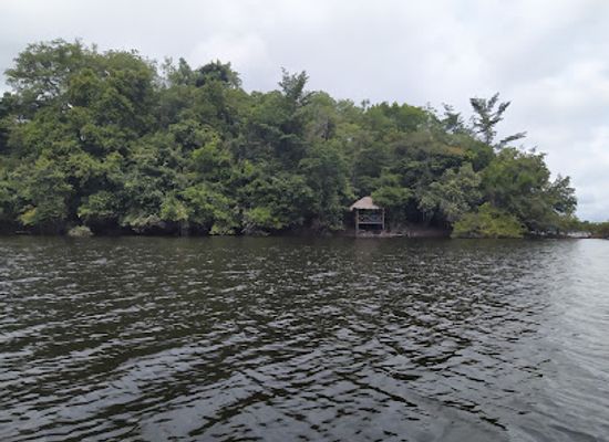 gabon/lambarene/attraction/tsam-tsam