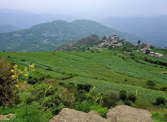yemen/ibb/attraction/mntzh-snan-abw-lhwm-fy-wrf