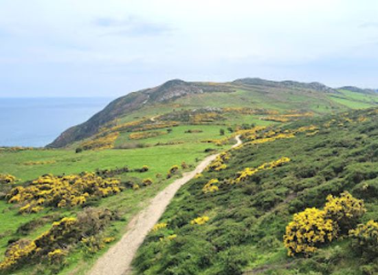 ireland/bray/attraction/bray-head