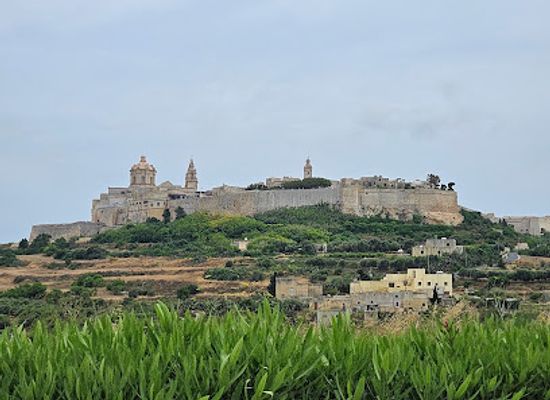 malta/fawwara-area/attraction/malta-fun-train-rabat
