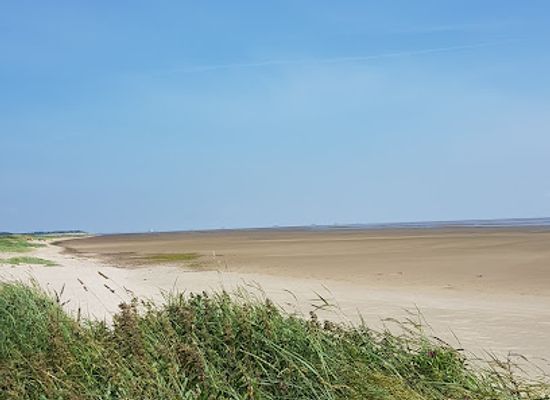 germany/north-frisia/attraction/goting-kliff