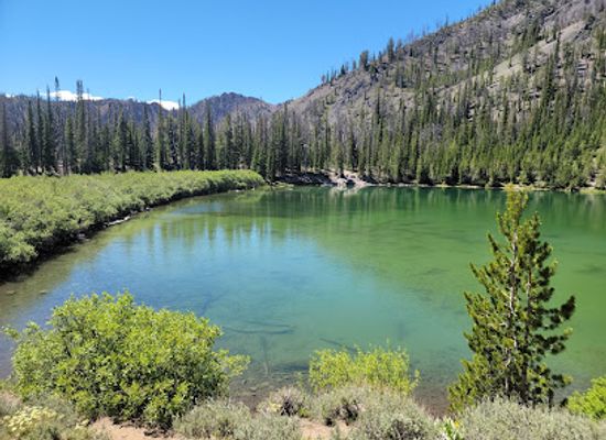 idaho/panhandle/attraction/sawtooth-national-forest