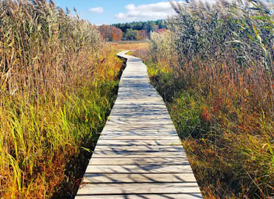 connecticut/litchfield-hills/attraction/little-pond-boardwalk-trail