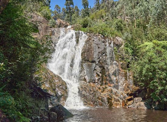australia/central-victoria/attraction/steavenson-falls
