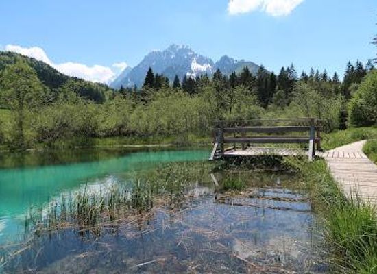 slovenia/kranjska-gora/attraction/izvir-save-dolinke