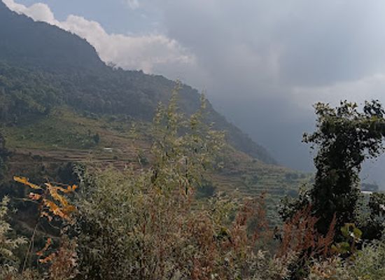 bhutan/chhukha-district/attraction/baguna